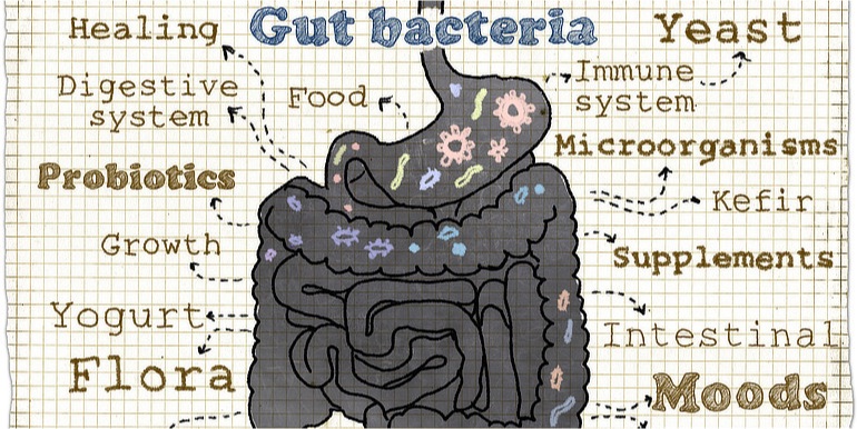 A gut feeling: microbiome changes may mean early detection of colorectal cancer