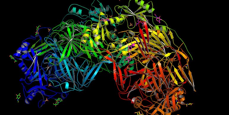 Scientists identify new drug target for advanced bowel cancer