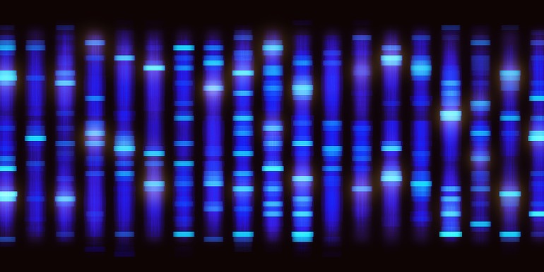 Rakovina tlustého střeva a rakovina konečníku jsou geneticky totožné